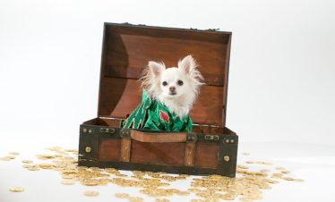 Piff The Magic Dragon