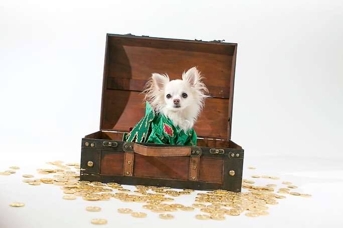 Piff The Magic Dragon