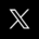X Icon